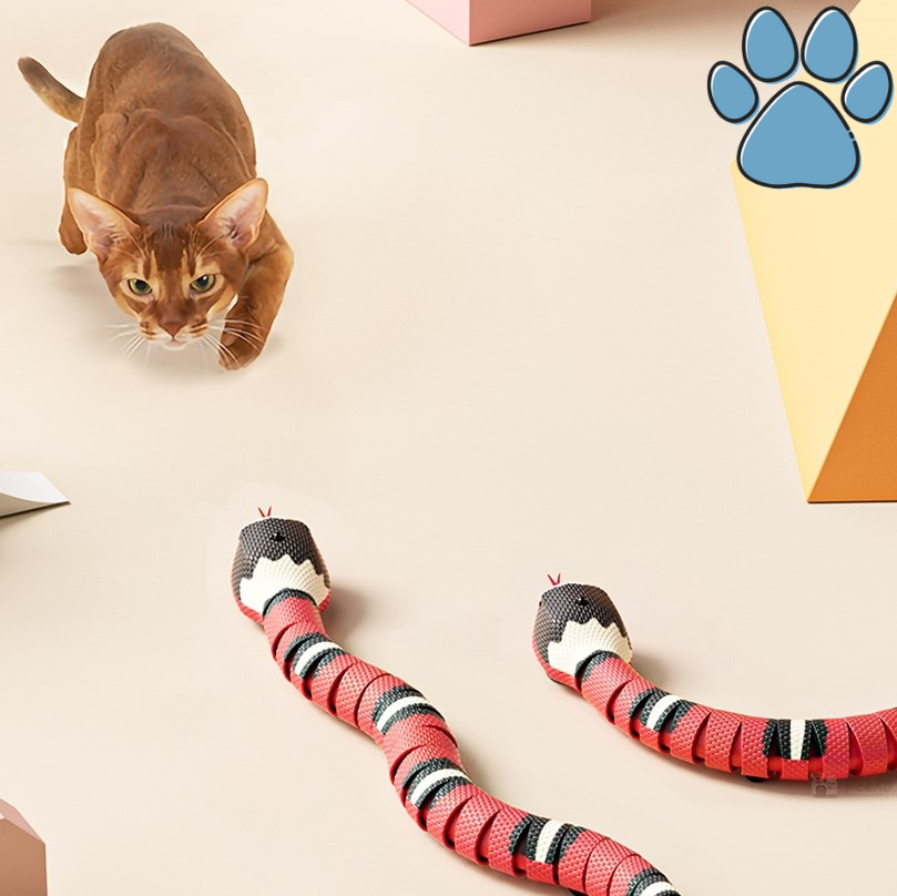 Cat smart toy online