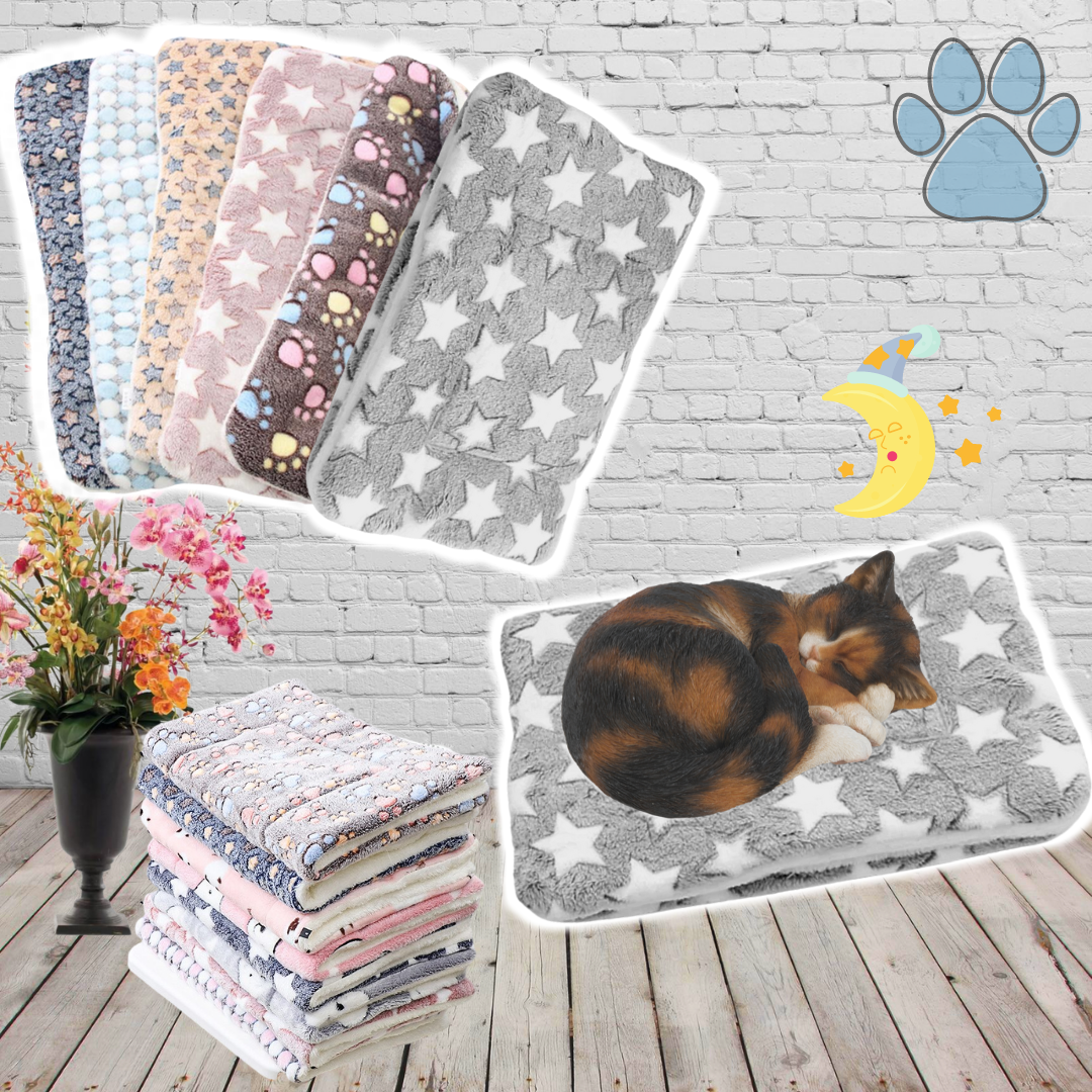 Cosy cat blanket sale